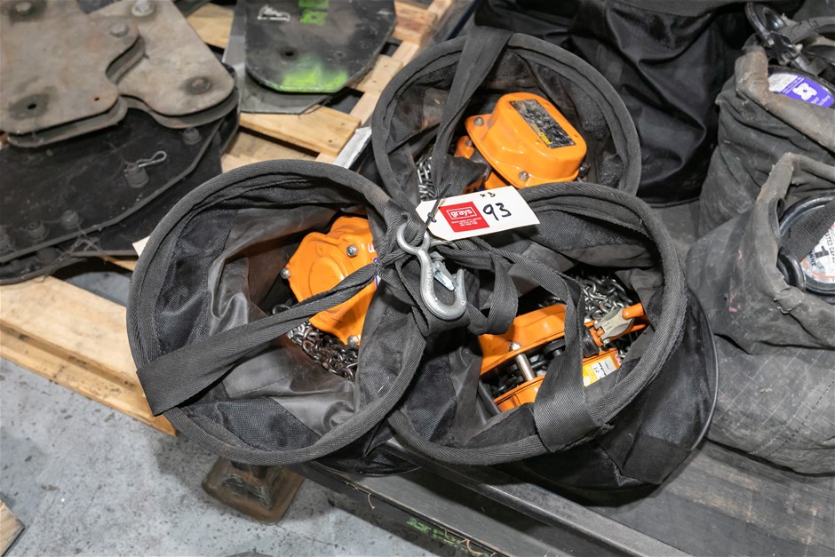 PRO-4 SH4G Chain Block Hoists with Carry Bags