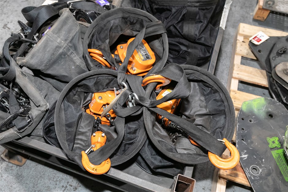 PRO-4 SH4G Chain Block Hoists with Carry Bags