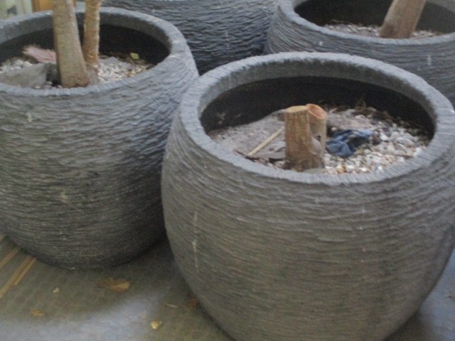 2 x Concrete Planter Pots
