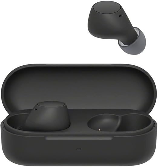 SONY WF-C510 Truly Wireless Earbuds – Small, Light, Bluetooth in Ear Headph