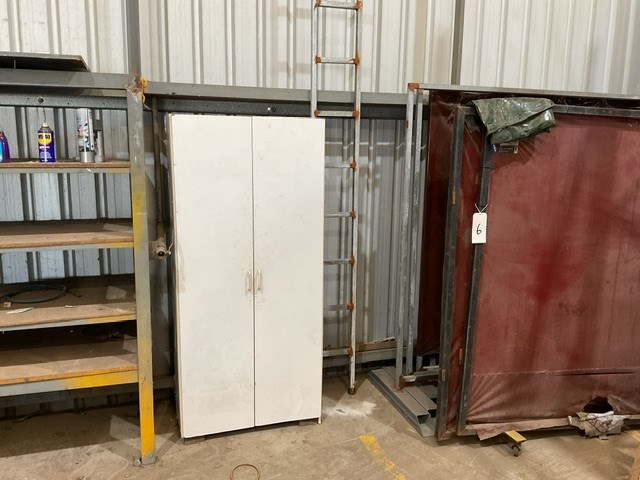 <p>2 Door Cupboard and Custom Ladder</p>