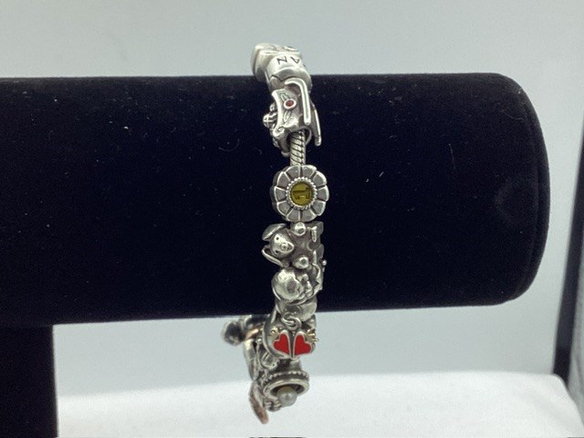 1 x Stamped Pandora Bracelet with 15 Assorted Charms