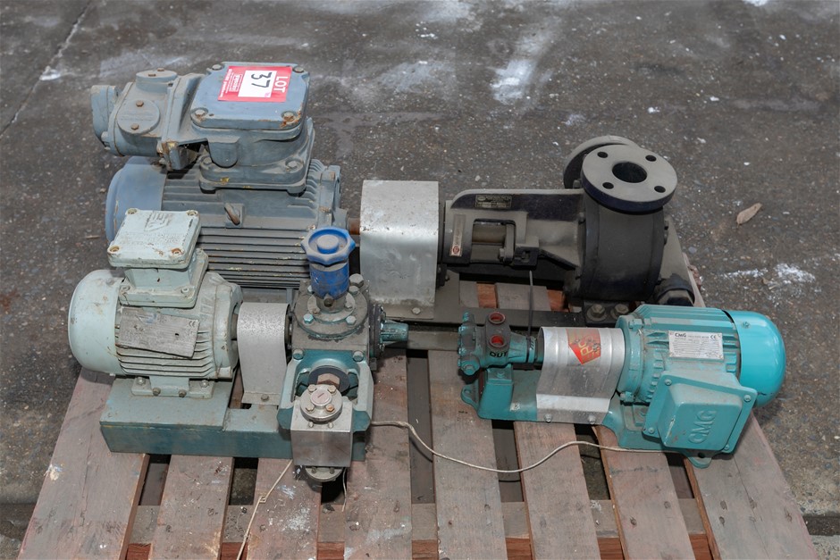Gear Pumps with Motors