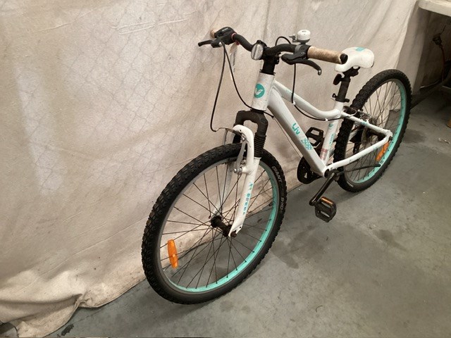 White/Blue Liv Mountain Bike