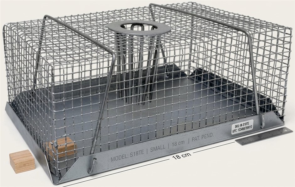 BAINBRIDGE Top Entry Mouse Trap, Small, 18 cm
