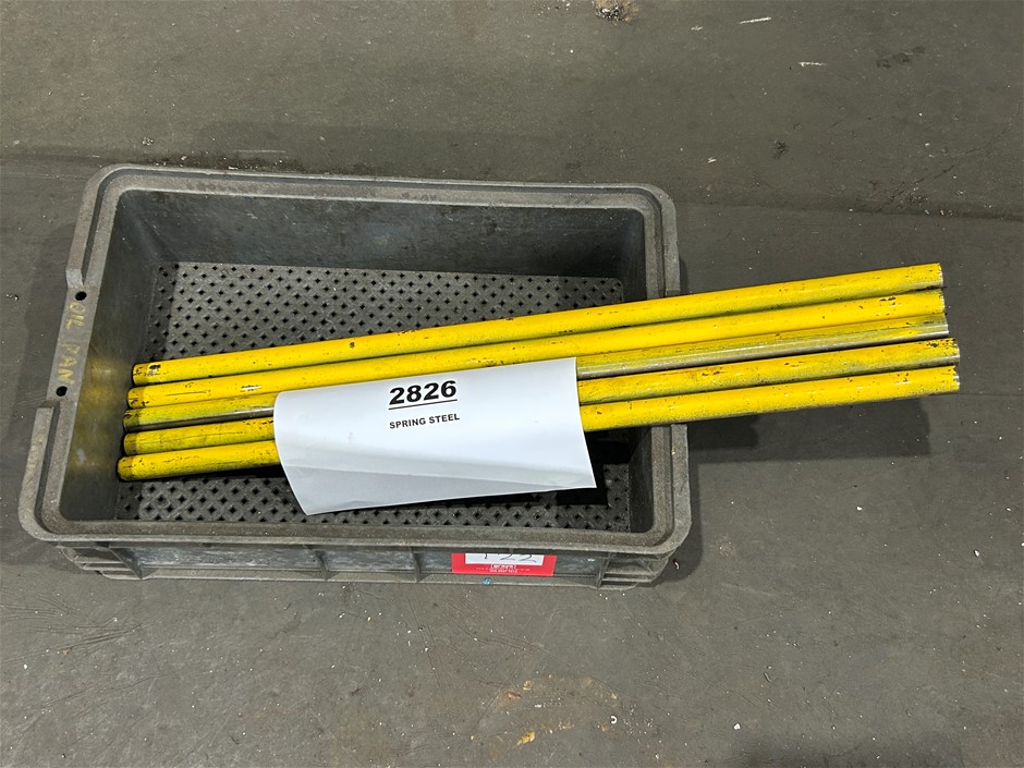 Small Qty of 2826 Spring Steel