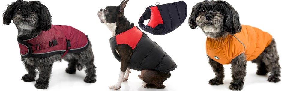 BUNDLE of Dog Coat Cardrona Turmeric + Padded Cold Weather Vest for Small D