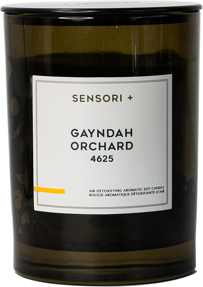SENSORI+ Detoxifying Soy Candle Gayndah Orchard 4625-260g
