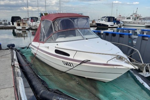 <p>2002 Haines Hunter 530 Classic</p>