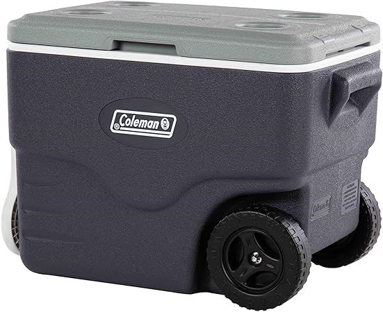 COLEMAN Daintree 28L Cooler | Durable Design, Portable Cooler, Outdoor or I