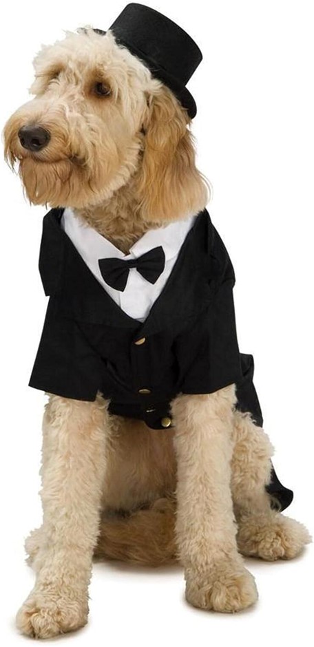 Dapper Dog Pet Costume,Top with mock shirt and bow tie, Extra Large. Buyer