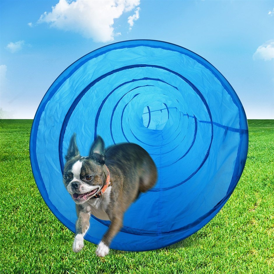 5.5M Dog Agility Training Tunnel Portable Carry Bag Pet Exercise Play Toy