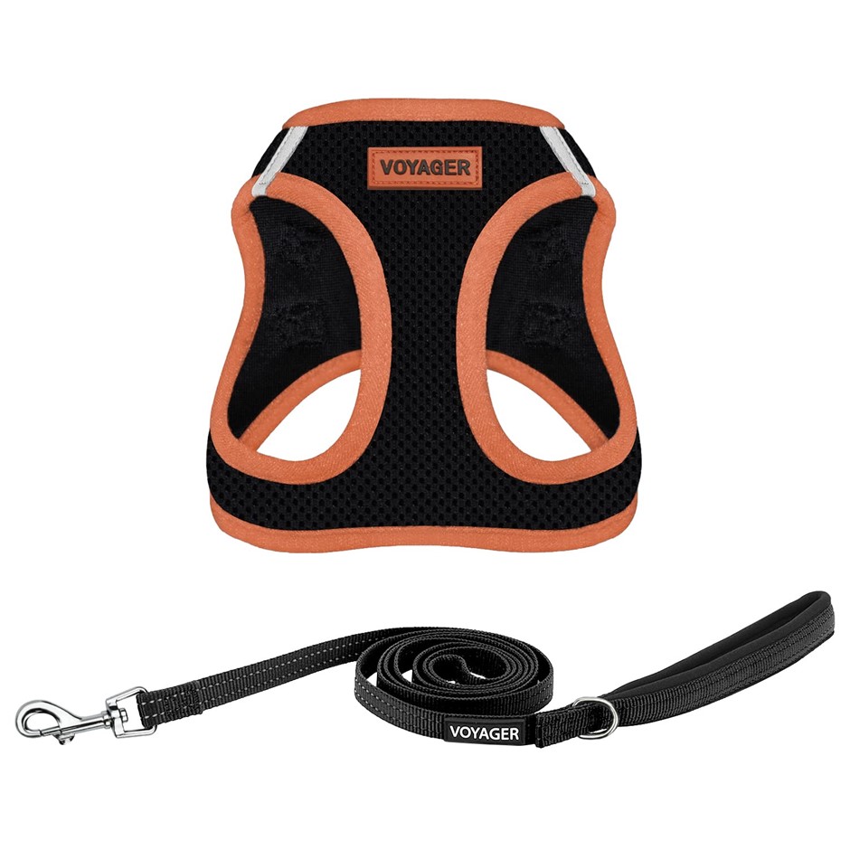 Voyager Step-in Air All Weather Mesh Harness & Reflective Dog 5 ft Leash Co