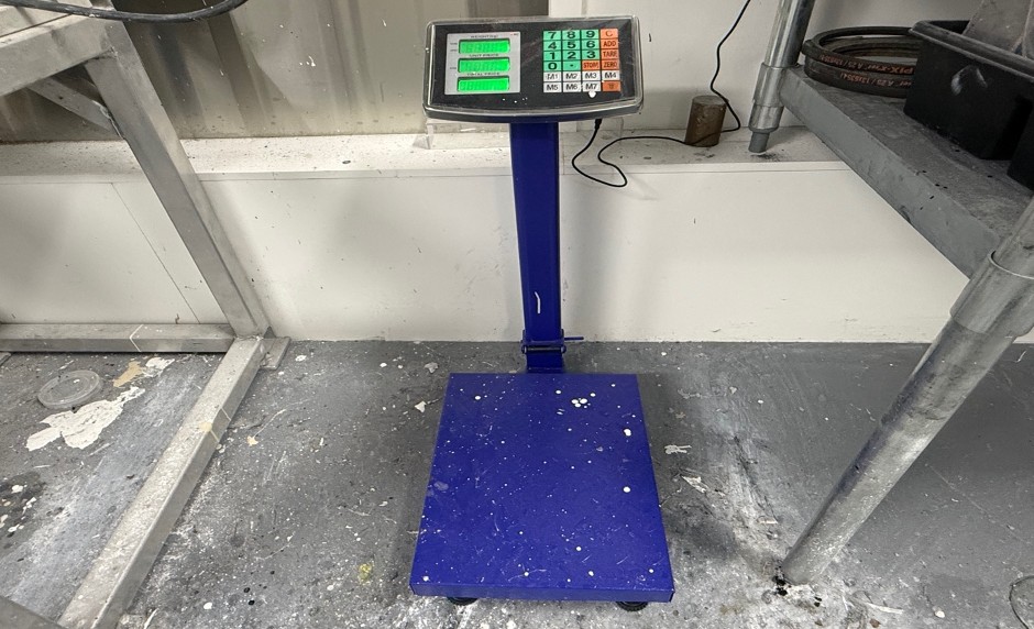 <p>Digital Platform Scale</p>
