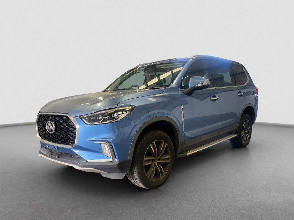 2020 LDV D90