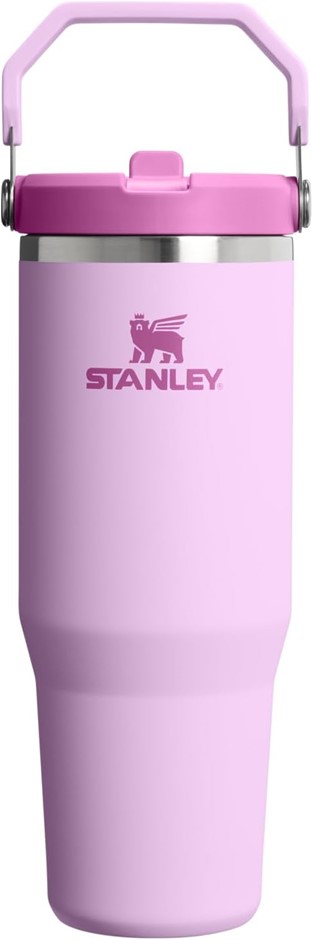 Stanley IceFlow 2.0 Flip Straw Tumbler with Handle 30 oz | Twist On Lid and