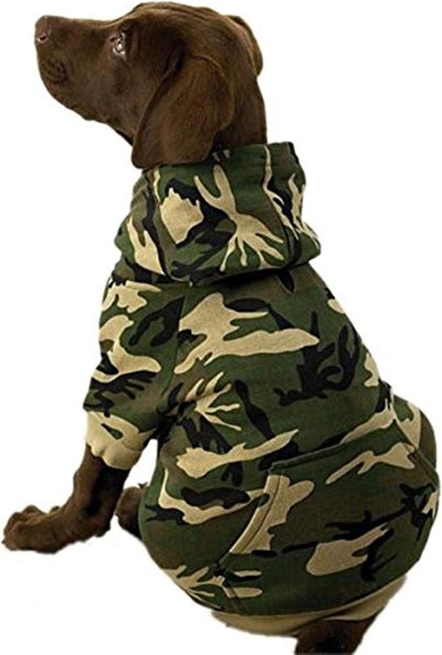 CASUAL CANINE Camo Hoodie for Dogs, 9" Small, Green