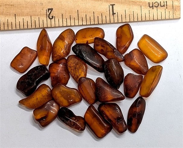 Two Dozen Baltic Amber Specimens With Partial Insect & Plant Inclusions