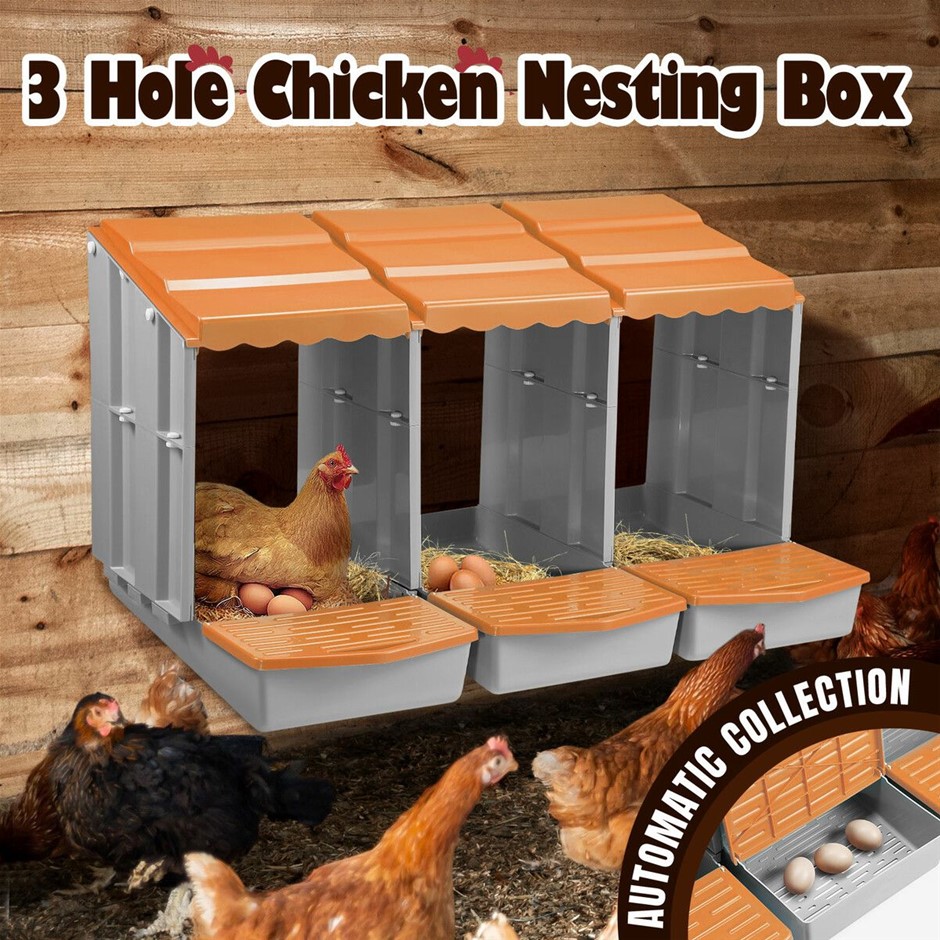 3 Hole Chicken Nesting Box Roll Away Plastic Poultry Egg Coop ORANGE