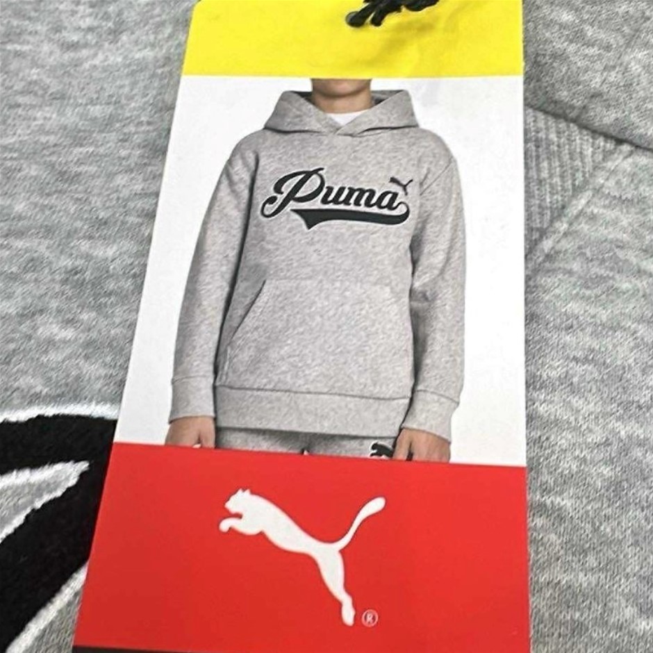 PUMA Boys' Fleece Hoodie, Size XL (UK 15-16Y), Grey (03), 220986. Buyers N
