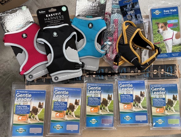 11 X Assorted Small/Medium Dog Items