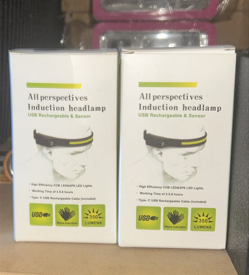 2x All Perspectives Induction Headlamp