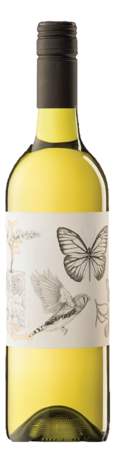 Temple Bruer Agonist Chenin Blanc 2017 (12x 750mL), Langhorne Creek.