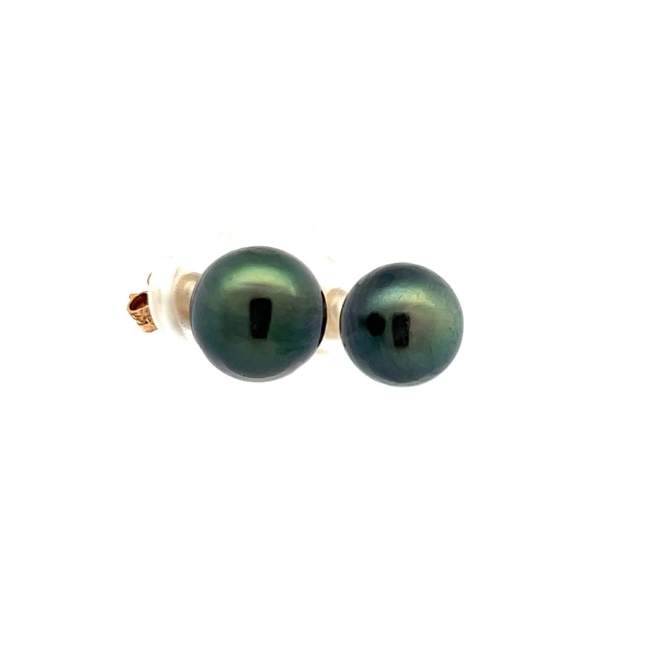 9Ct Yellow Gold Black Pearl Stud Earrings