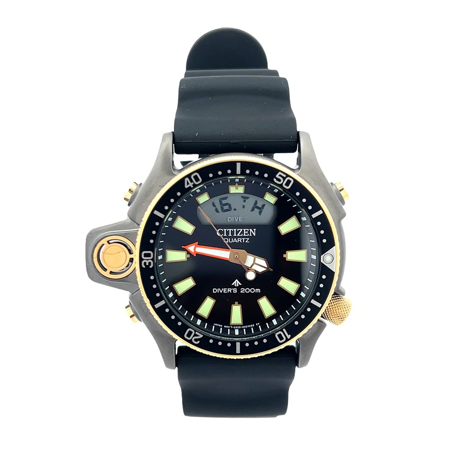 Citizen Promaster Aqualand 40th Anniversary Diver's Watch