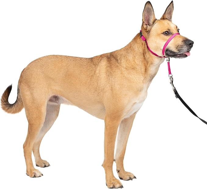 PETSAFE Gentle Leader No-Pull Dog Headcollar, Size Medium, Raspberry Pink.