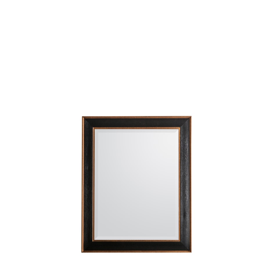 Daltry Mirror Black 610x760mm