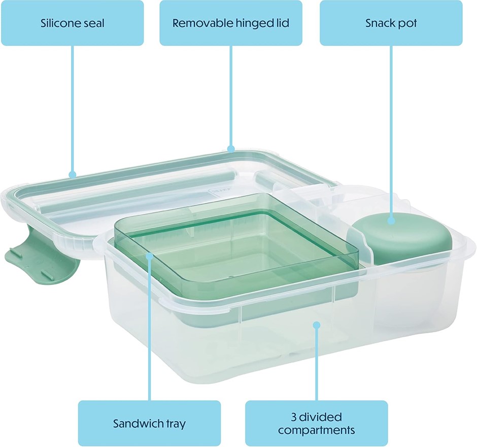 Smash Bento Lunch Box, Fern Green, 1.6 Liter Capacity