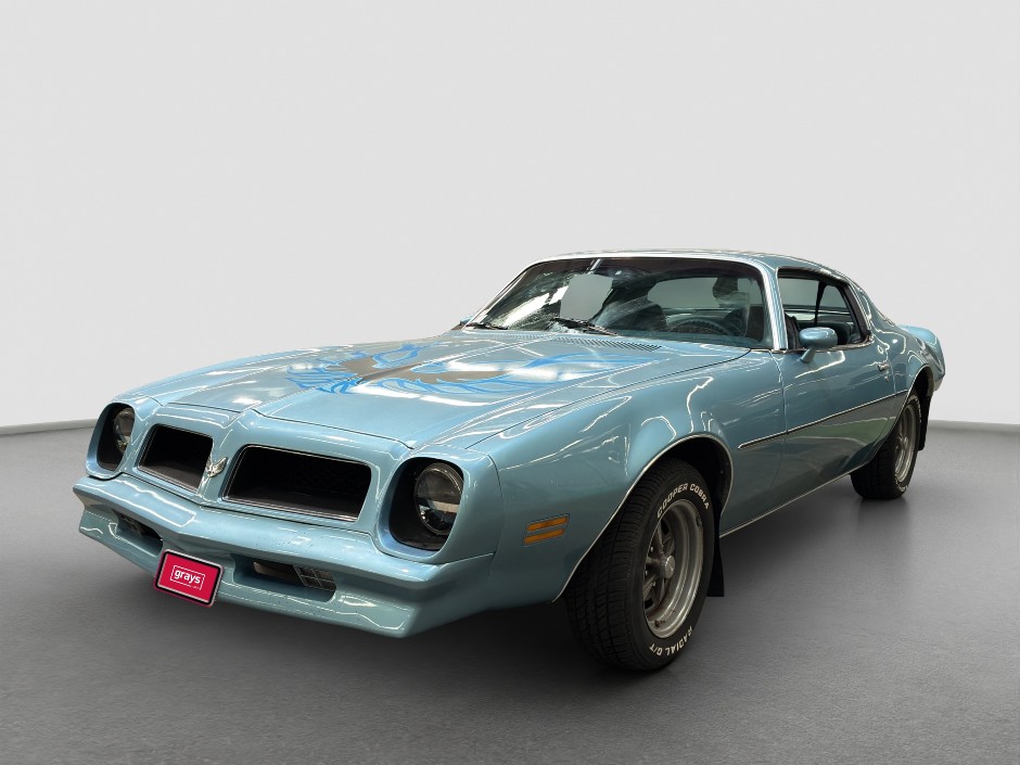 1976 Pontiac Firebird Petrol