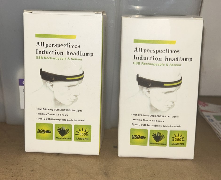2x All Perspectives Induction Headlamps