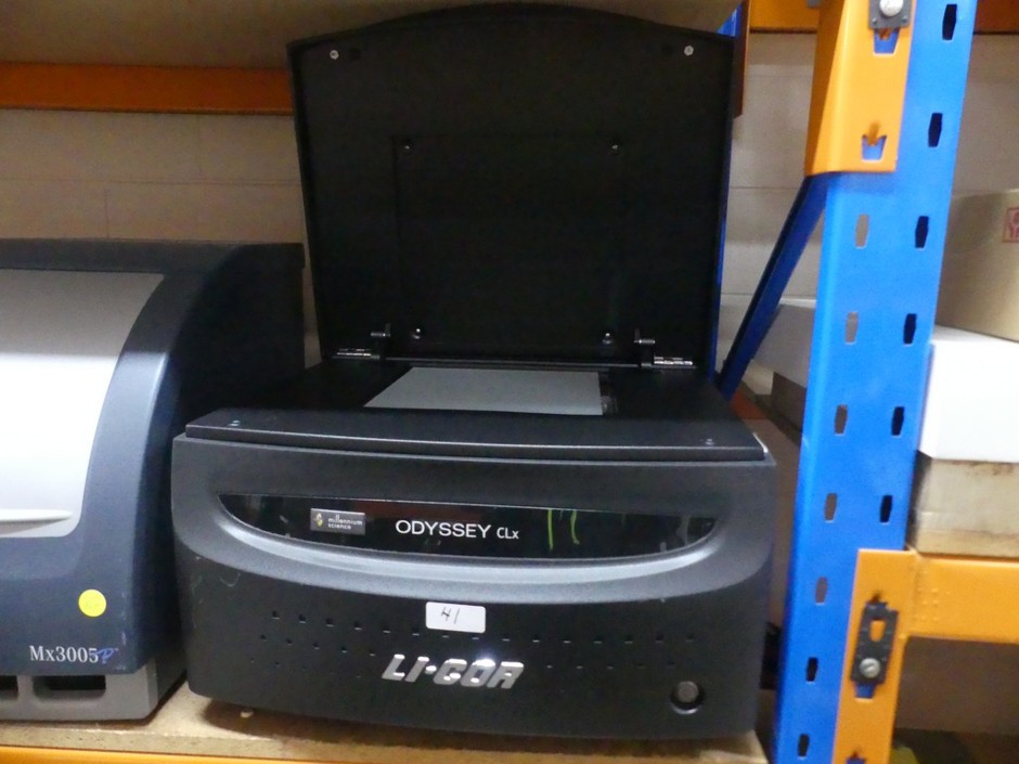 <p>Near Infrared (NIR) low background fluorescence detection imaging system