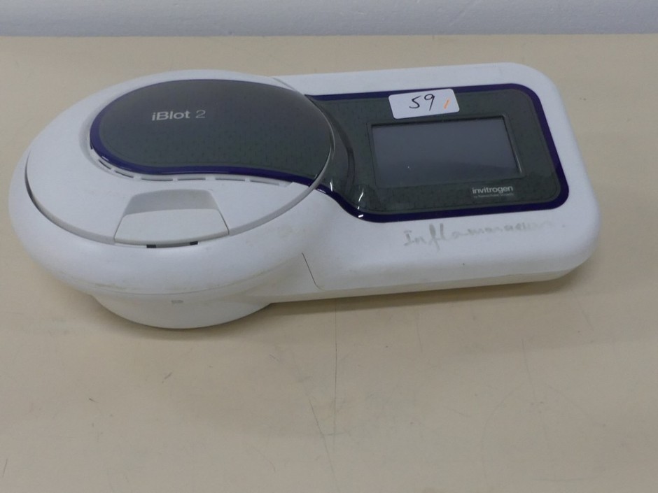 <p>Gel Transfer Blotting System of Proteins/DNA</p>