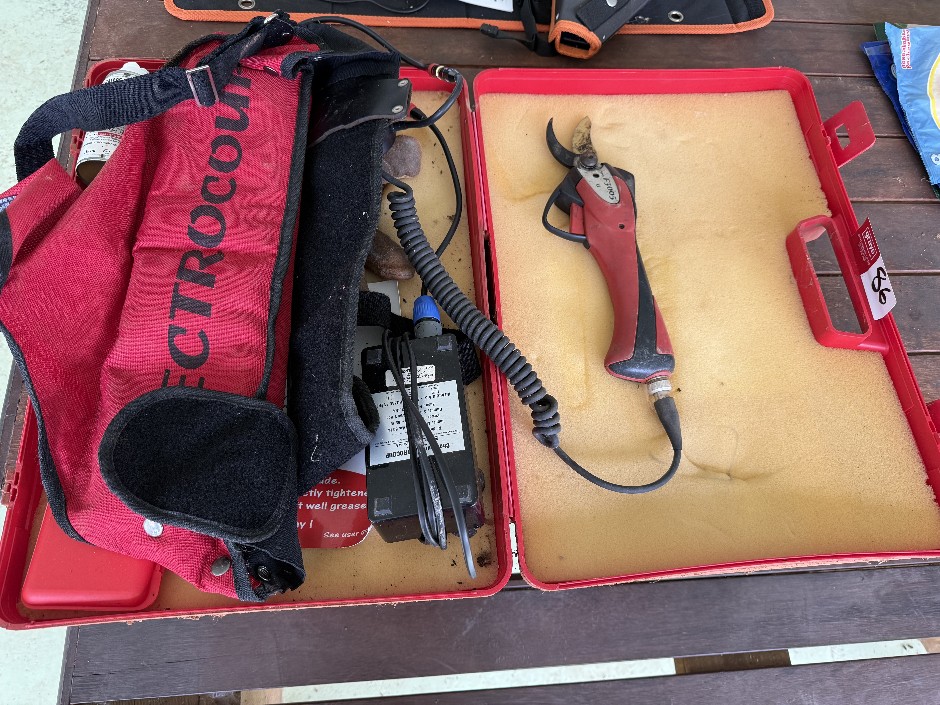 <p>Cordless Pruners with Battery Pack</p>