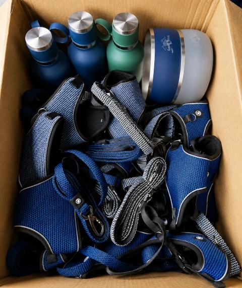 1 Box of Assorted Pet Accessories – Dog Harnesses, Leashes, Water Bottles &