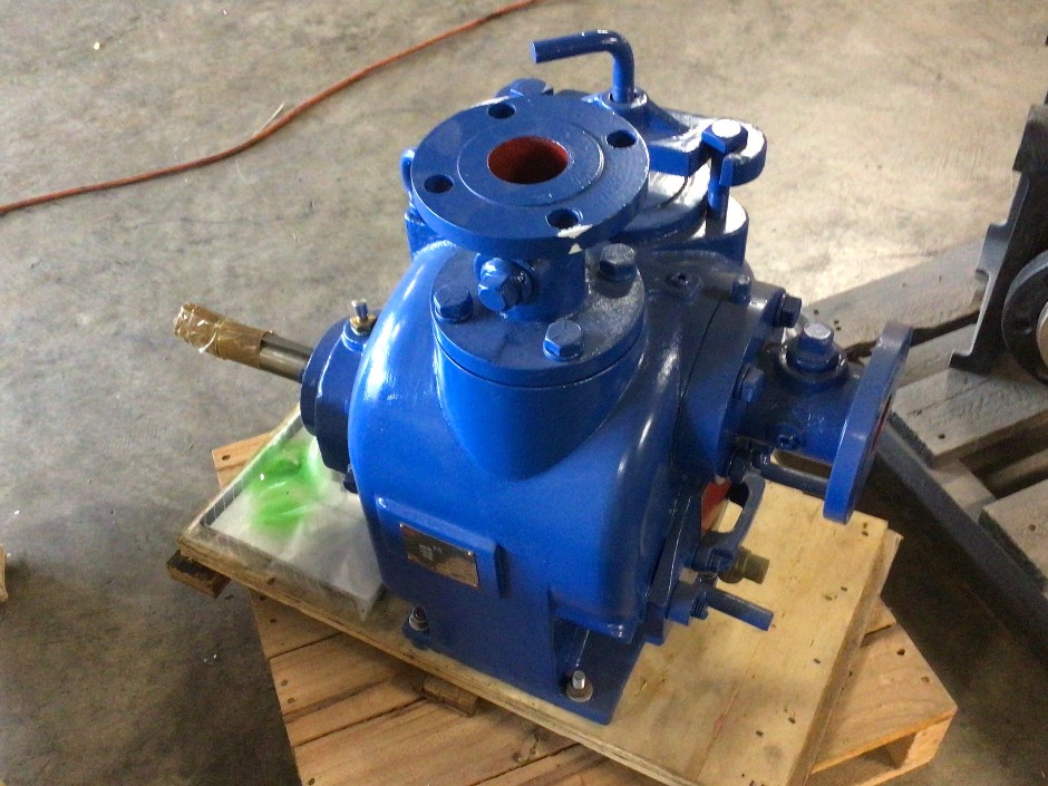 Milestone Bare Shaft Pump