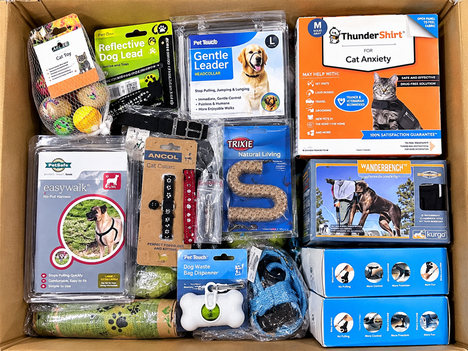 Assorted Dog & Cat Accessories Bundle – Harnesses, Leads, Collars, Headcoll