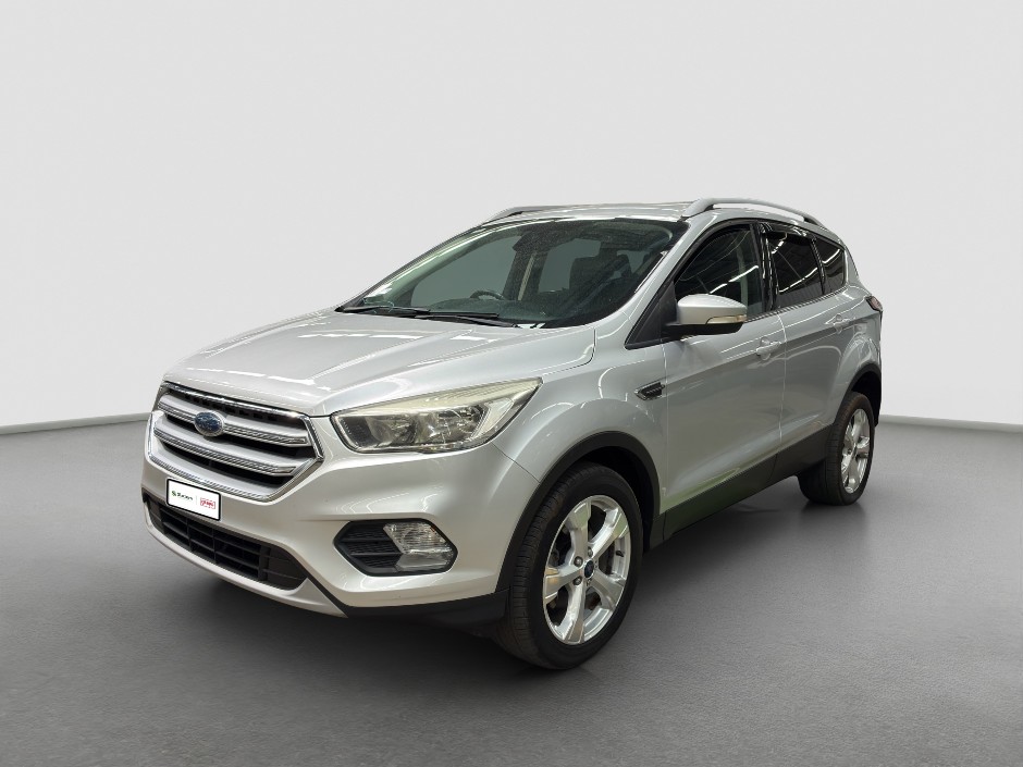 2017 Ford Escape Trend  Wagon (Petrol) (Auto)
