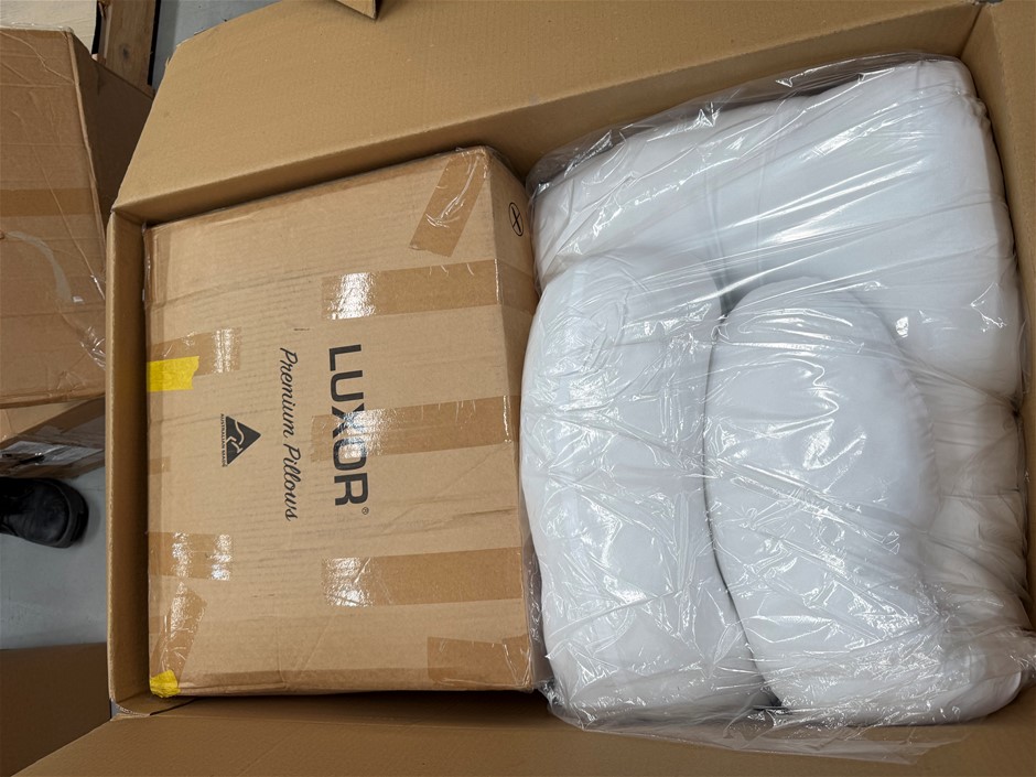 1 x Pregnancy Pillow & Luxor Premium Pillow 