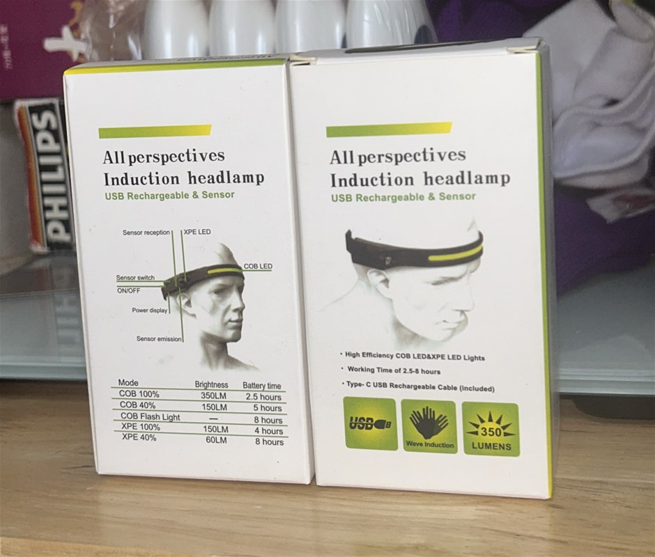 2x All Perspectives Induction Headlamps