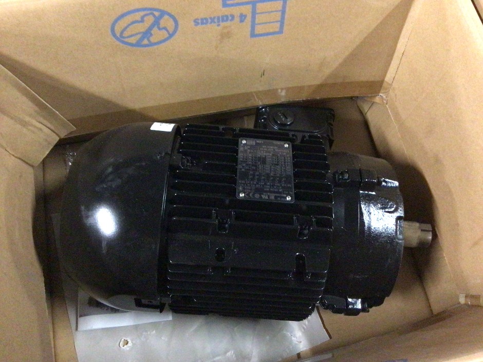 Weg Electric Motor M22C.ALE2W21 VEM/3/2P/3