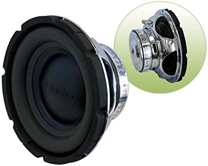 SW10 10" 350W Subwoofer RPG Acoustics (The Phoenix) - 9328202024060