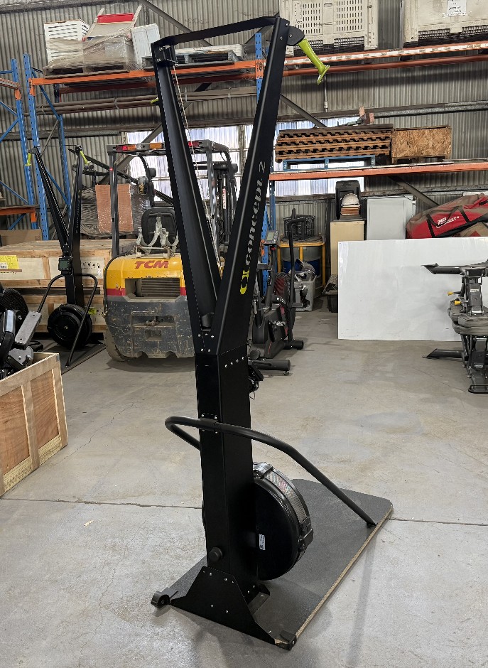 Ski ERG Exercise Machine