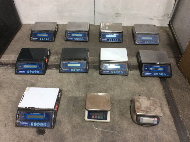 Wedderburn Mixed Brand and Model Digital Bench Scales (Lot of 11)