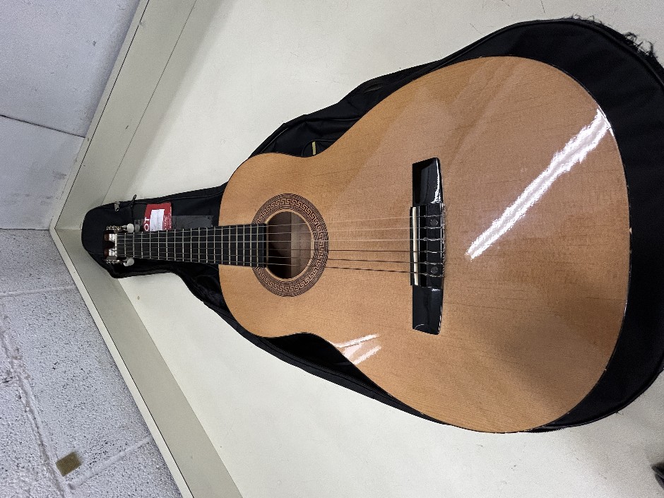 <p>HOHNER HC03 Childs Accoustic Guitar with case</p>