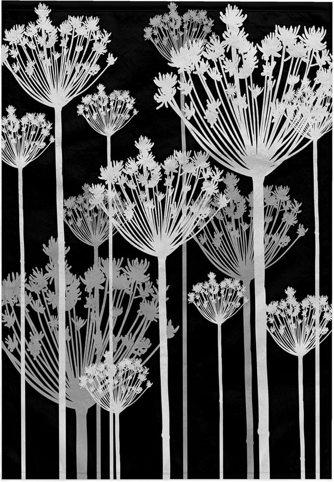 3D ROSE Contemporary Dandelions Hand Towel, 15" x 22", Black/White/Grey.  B