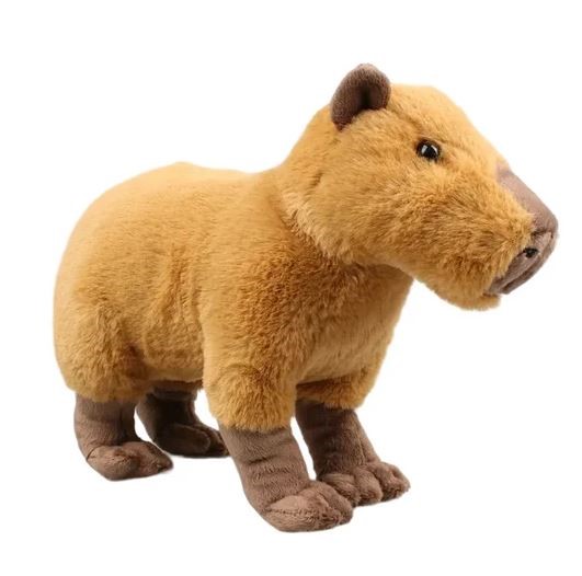 Kawaii Capybara Plush Toy